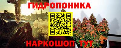 apvp Ачхой-Мартан