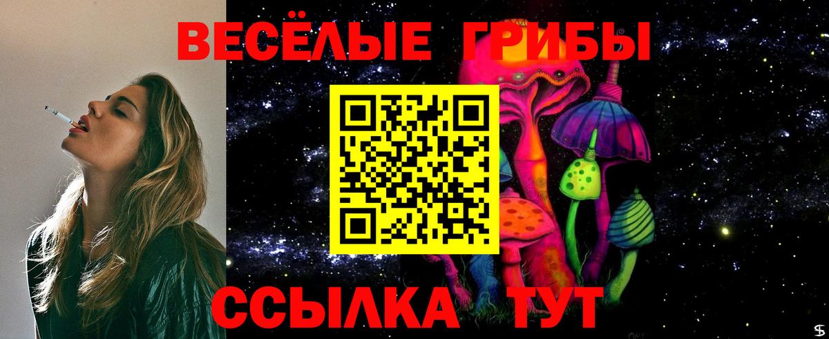 Псилоцибиновые грибы Cubensis Долгопрудный