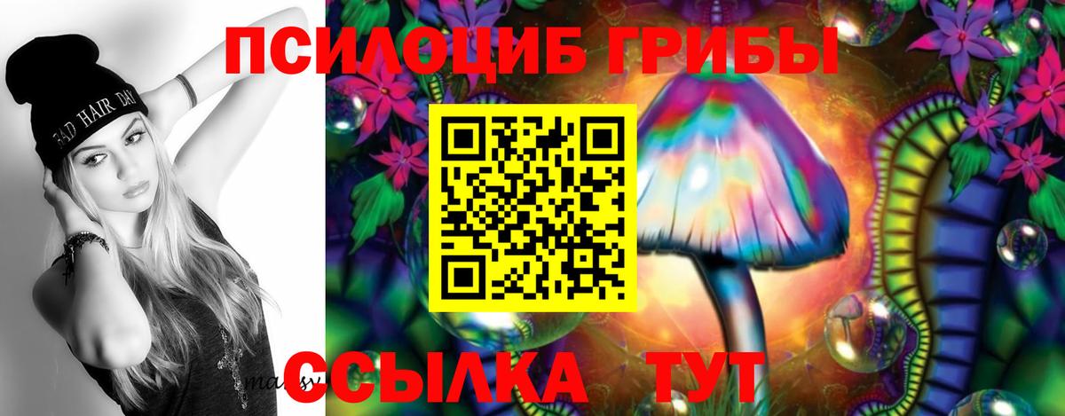 хочу наркоту  Вход с VPN  Долгопрудный  Галлюциногенные грибы GOLDEN TEACHER 